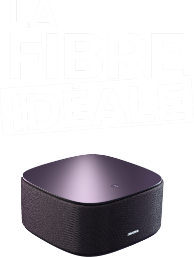 La fibre idéale